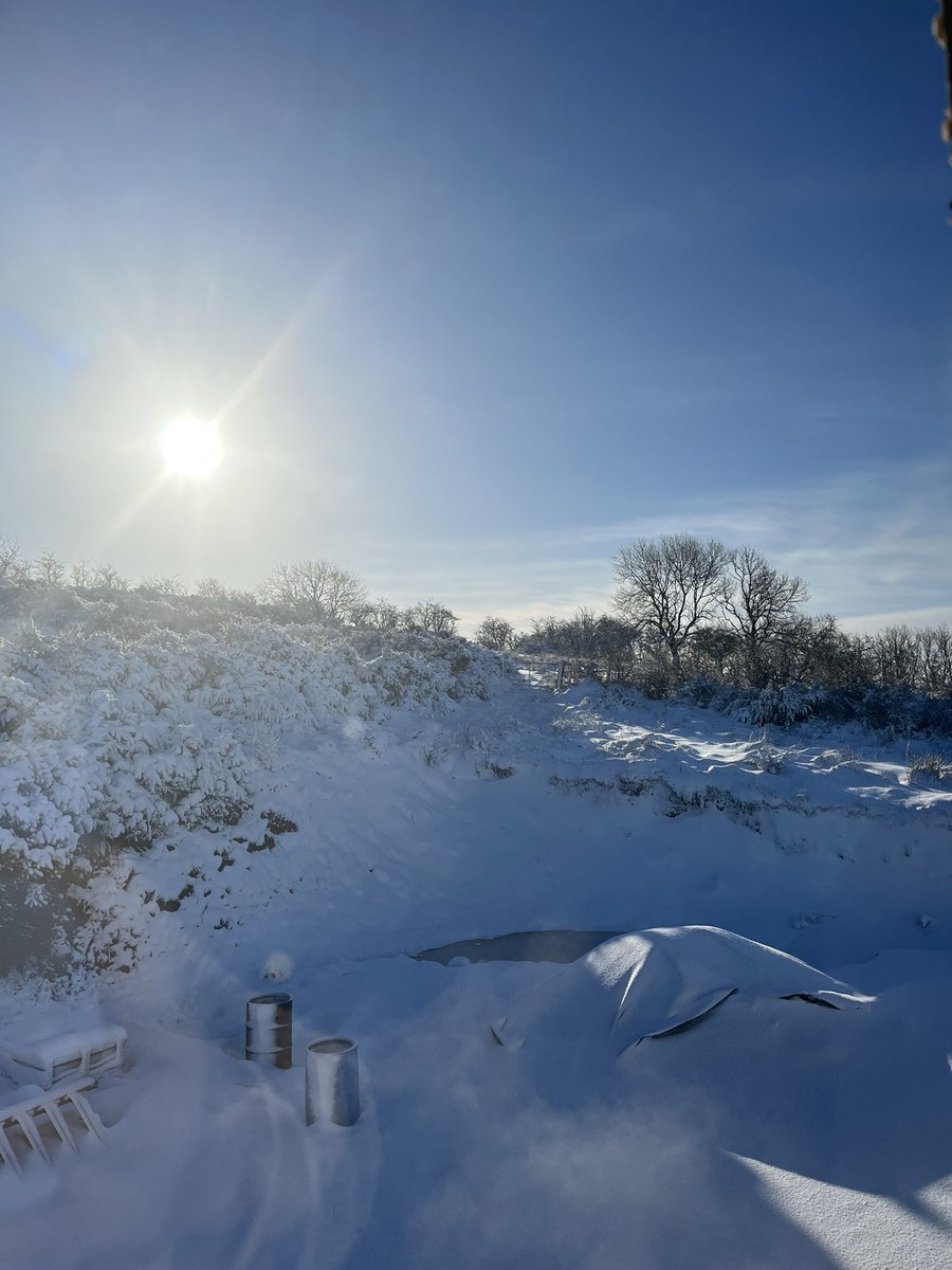 Claclee's tweet image. Snowy perfection 😍🌨️❄️☃️ at Dorsey, Co Armagh
@barrabest @angie_weather @bbcniweather @WeatherCee