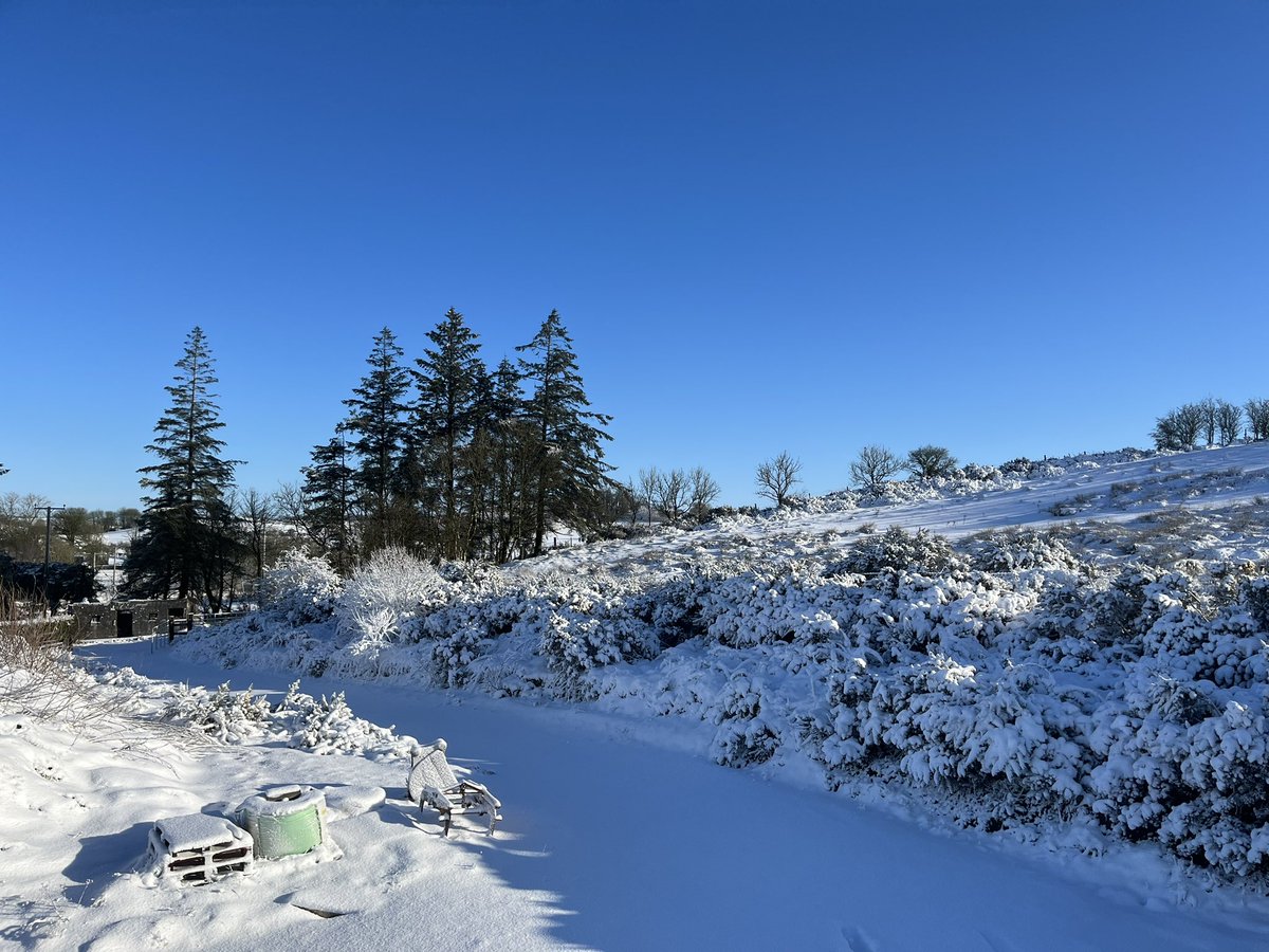 Claclee's tweet image. Snowy perfection 😍🌨️❄️☃️ at Dorsey, Co Armagh
@barrabest @angie_weather @bbcniweather @WeatherCee