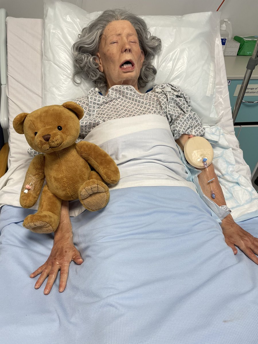 DepHeadClinEd's tweet photo. Itโs been a great week in #NRS507 Developing Nursing Practice and great to see #PUNC21 think so holistically in how they have approached care of the person requiring insertion of an intravenous (IV) cannula and IV medication and fluids. Such a privilege to work with our CD Donna https://t.co/3HW31MwhwE