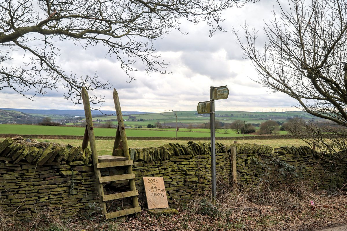 chrisbu03352910's tweet photo. #fingerpostfriday
With handy dog level sign and sturdy stile at Scout dike... https://t.co/ilrw87O4dD