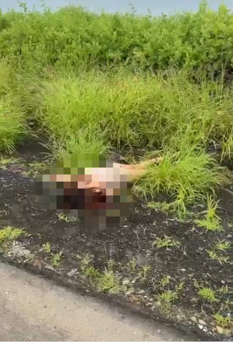 FLACOMENDOZA1's tweet photo. #Ahora
Hallaron el cuerpo sin vida de una persona de sexo femenino cerca de #Capaes en Punta Blanca ,Santa Elena.
#elflakoinforma https://t.co/twiIP9D0al
