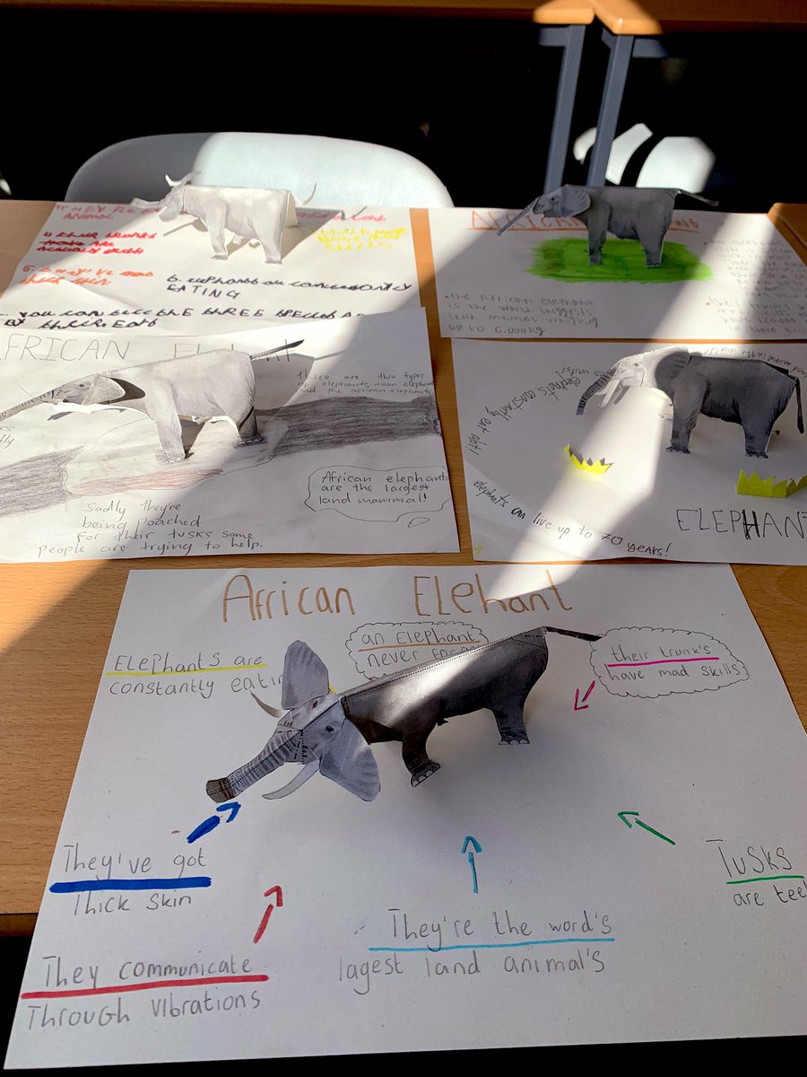 MissRendall_'s tweet photo. S1’s have been learning about the Savanna biome and have looked at the African Elephant as a case study!! these 3D models and posters are amazing 🐘🌅 
@CchsSocSubs 
@CCHSEdinburgh https://t.co/EByyK9mCG9
