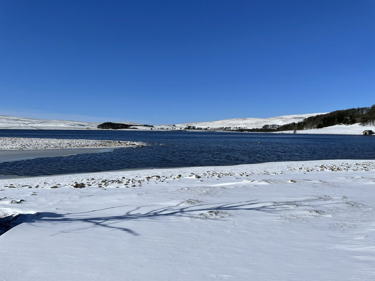 Laura Pye tweet media