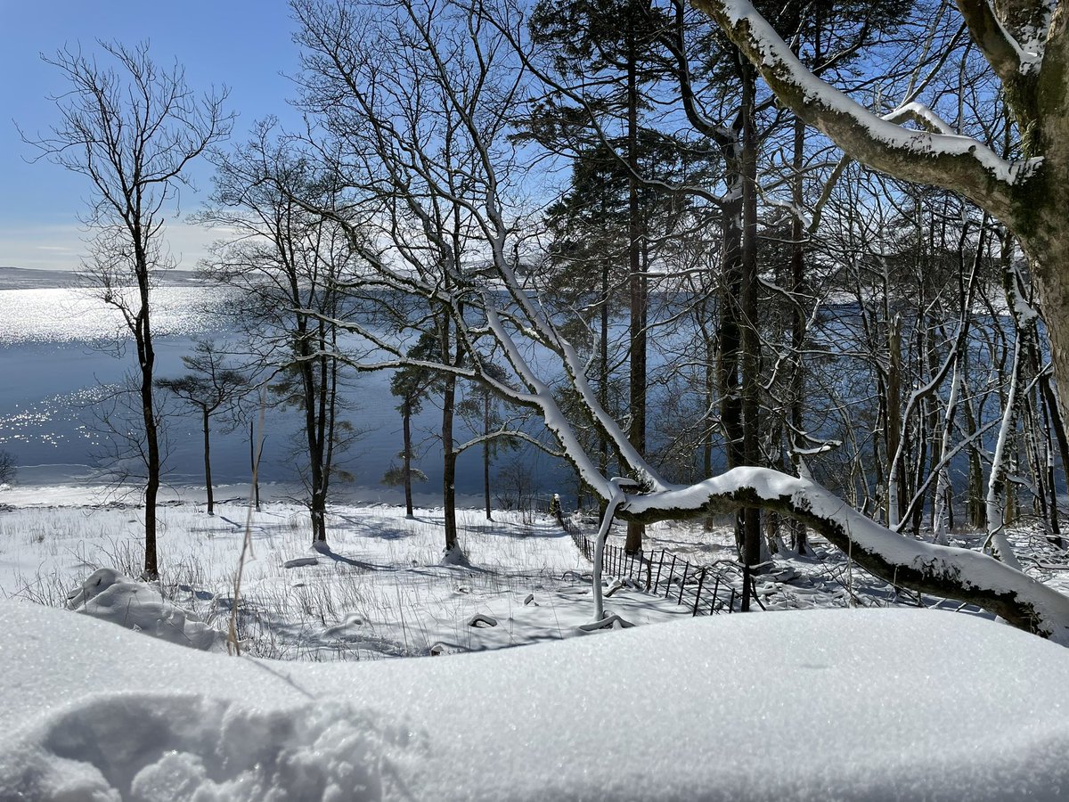 Laura Pye tweet media