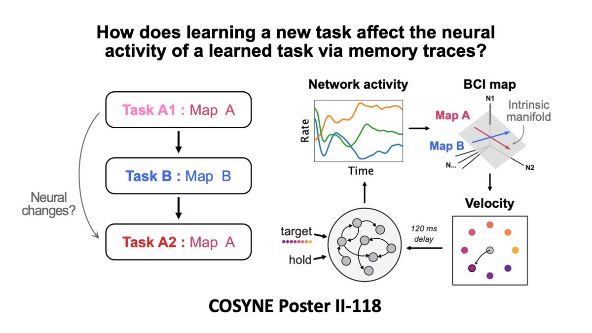 Excited to be here in Montreal at #cosyne2023! If you're interested in motor/BCI learning, come check out my poster tonight at 2-118 'Sequential learning in RNNs create memory traces of learned tasks'. Inspired by Losey et al 2022, we model their BCI setup in RNNs!