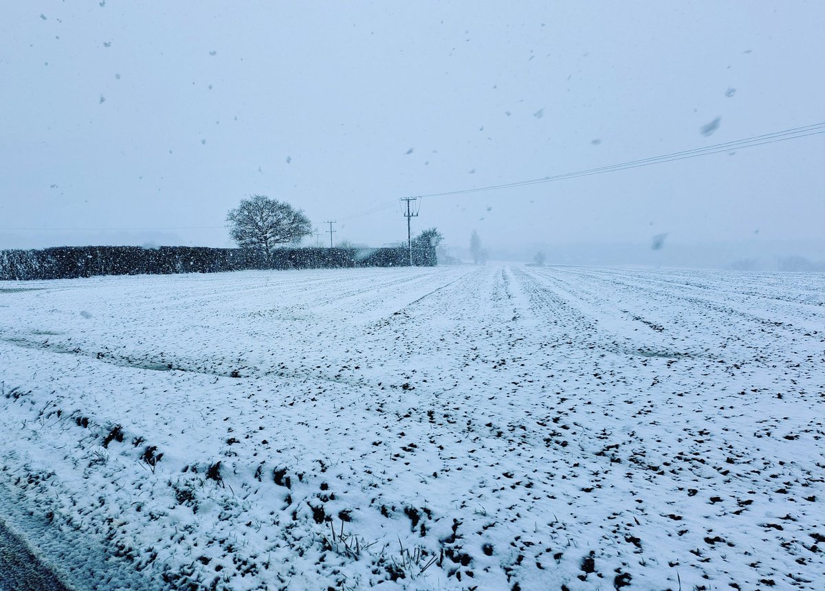 Tricky conditions in the #snow this morning in and around #Ashdon #Essex <a href="/UKWeatherLive/">UK Weather Live</a> <a href="/AngliaWeather/">Anglia Weather</a> <a href="/bbcweather/">BBC Weather</a> <a href="/metoffice/">Met Office</a> <a href="/ChrisPage90/">Chris Page - Weatherman</a> <a href="/WeatherAisling/">Aisling Creevey</a> <a href="/AmandaHouston/">Amanda Houston</a> <a href="/carolkirkwood/">Carol Kirkwood</a> <a href="/Kate_Kinsella/">kate kinsella</a> <a href="/lizzieweather/">Elizabeth Rizzini</a> <a href="/essexlive/">Essex Live</a>