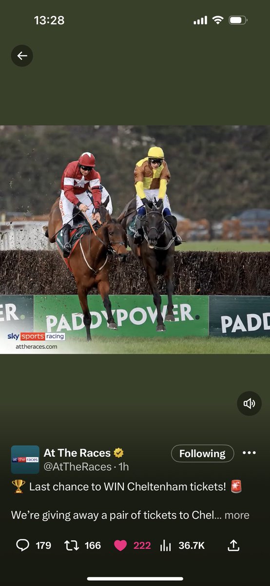 Ge_rgeyy's tweet photo. @AtTheRaces https://t.co/PmESrjQEzU