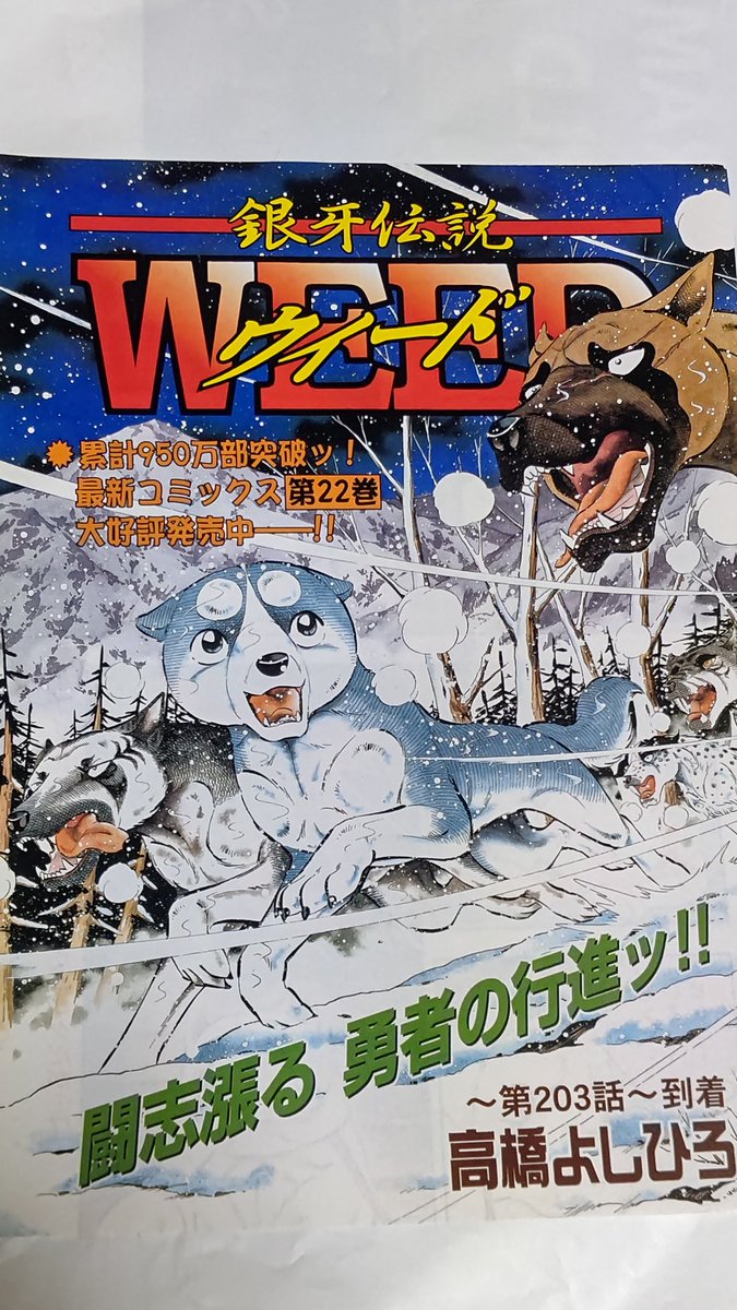 銀牙伝説WEEDの巻頭カラー😄 銀が、奥羽に帰って来ました。 仲