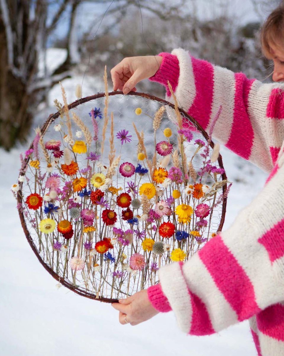 LaylaRobinsonfl's tweet photo. Snow and flowers, couldn’t resist! 💕 https://t.co/f3ICFKgWUK