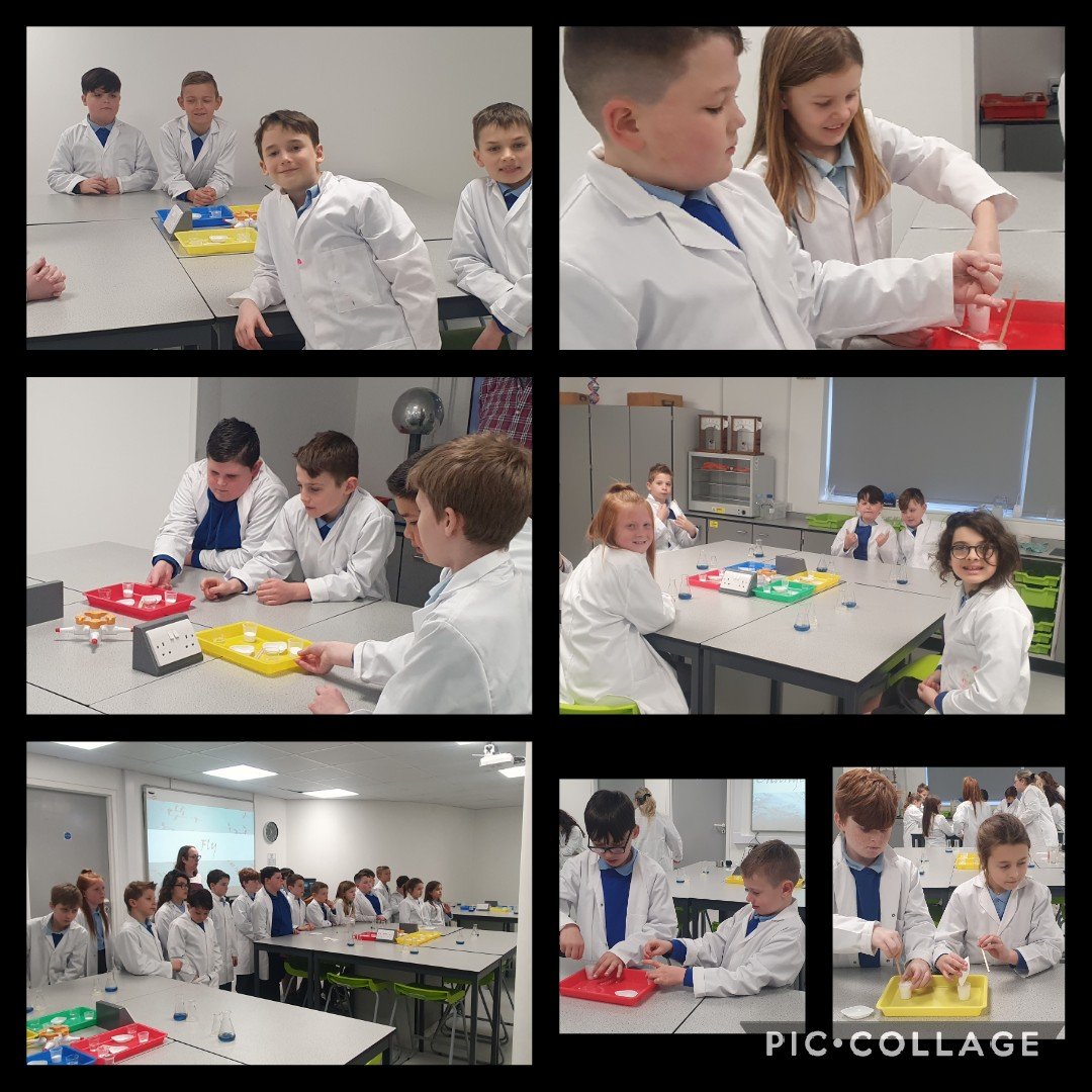 ARWPrimary's tweet photo. Wow! What a great experience we have all had! The big question, is it magic or it is science? #sciencetrip #magicorscience #yearfive #experiences @Techniquest https://t.co/heL1iuOt8z