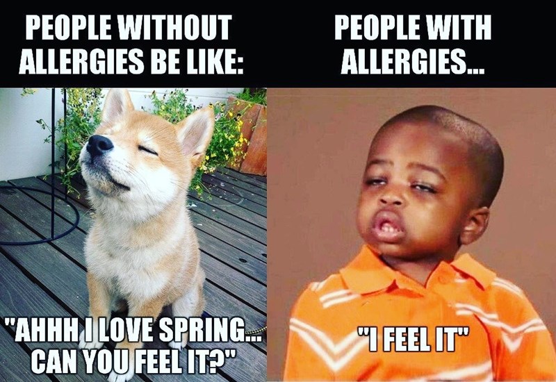 We know allergies be like: