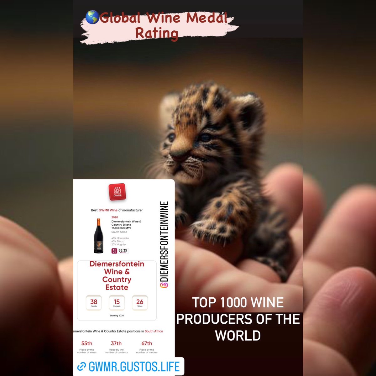 🥇🥈🥉
⠀
@Diemersfontein Medal Profile!
⠀
Visit
🌎#GlobalWineMedal Rating
now and uncover 👽 the top-awarded #wines!
⠀
#winebusiness #winecompetition
#winetech #AI #redwine #whitewine #champagne #SaveSAwine #heartwellington #Malbec #CheninBlanc #Rose #Merlot #winespecials