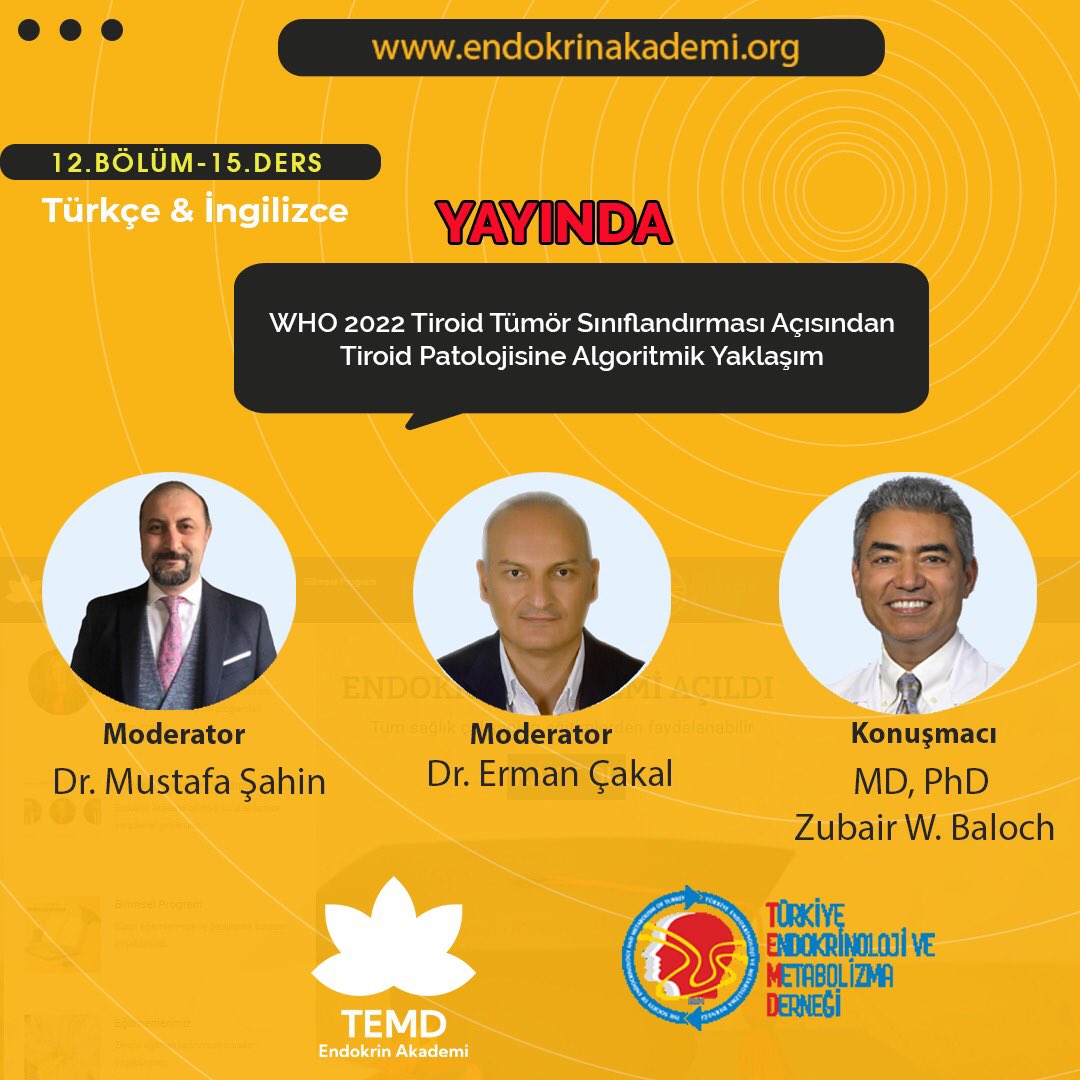 temdorgtr's tweet photo. WHO 2022 Tiroid Tümör Sınıflandırılması Açısından Tiroid Patolojisine Algoritmik Yaklaşım Endokrin Akademide Yayında...
#temd #endokrinakademi #endokrin #endokrinoloji #endokrinolojivemetabolizma https://t.co/hZ3RiWjcEY