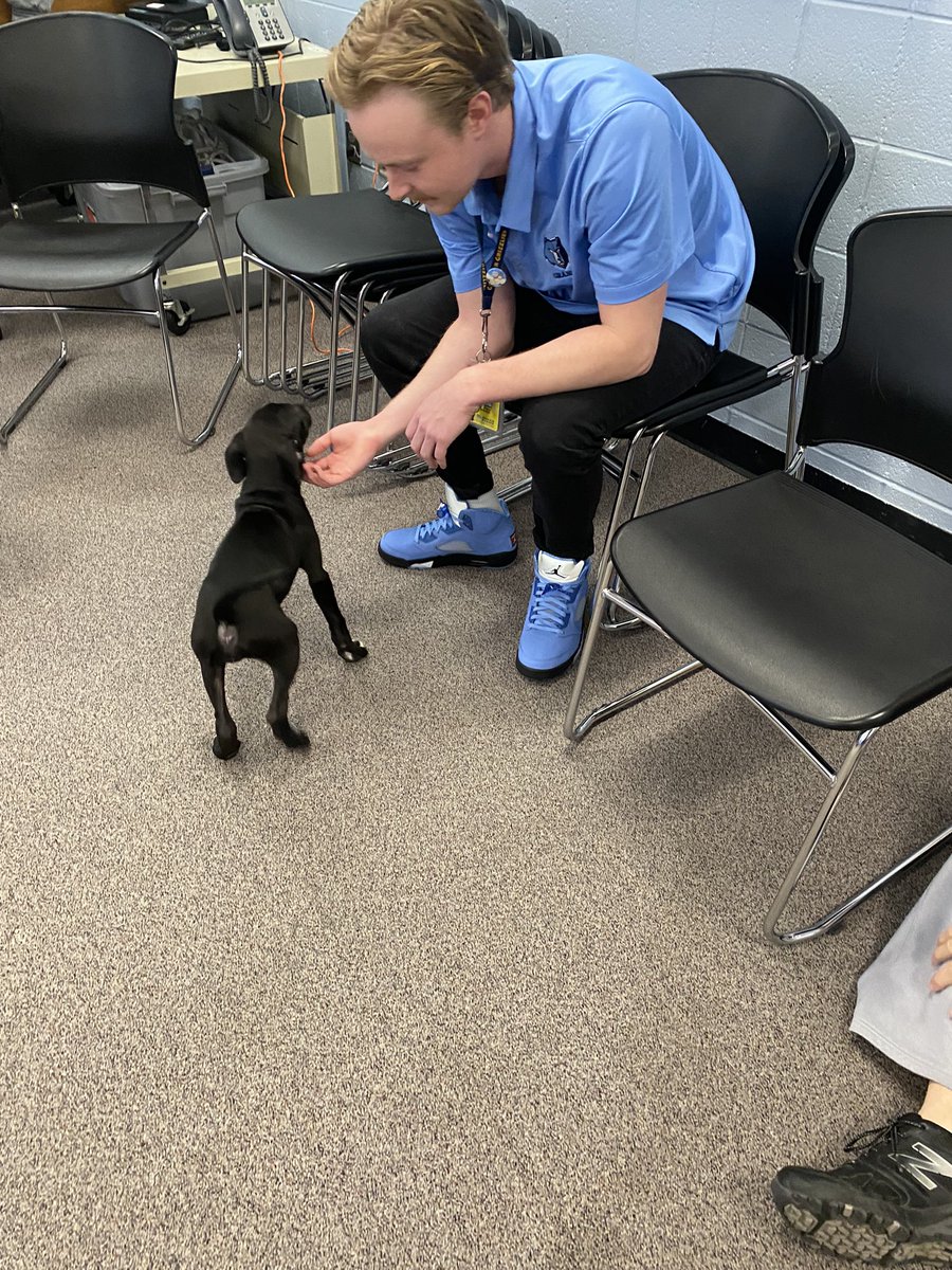 Allan Davenport tweet media