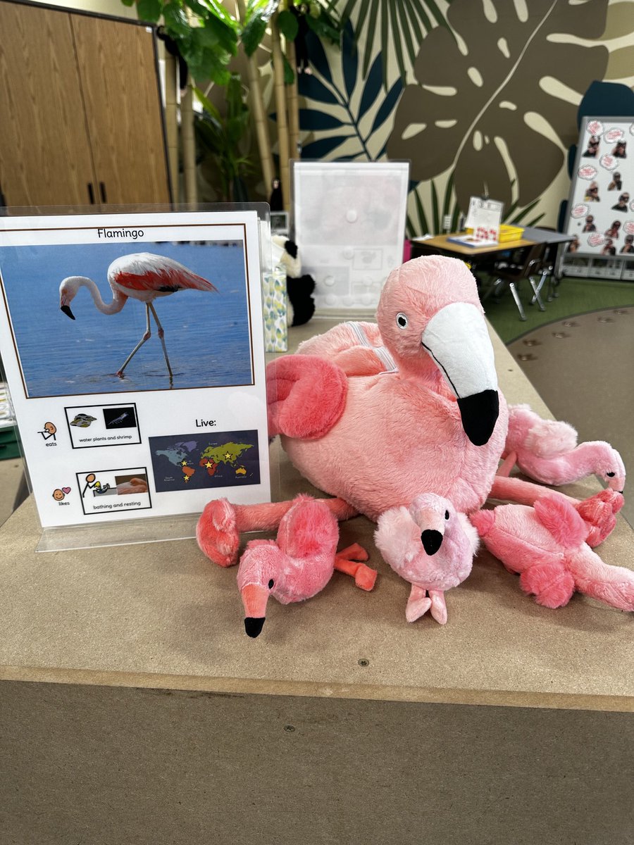 Cheryl Panka, NBCT tweet media