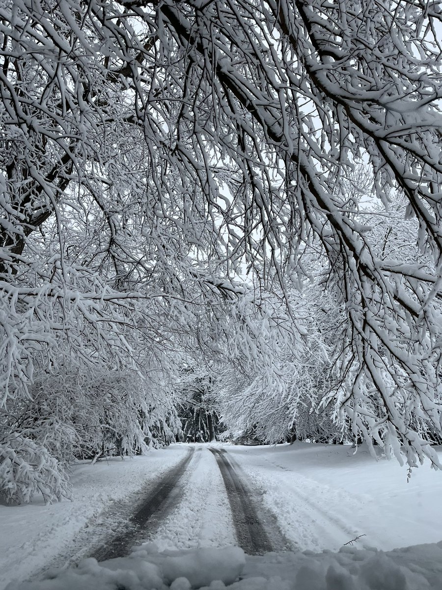 Tbh I would have rather kept the half-day summer Fridays than a random day off that looks like this.