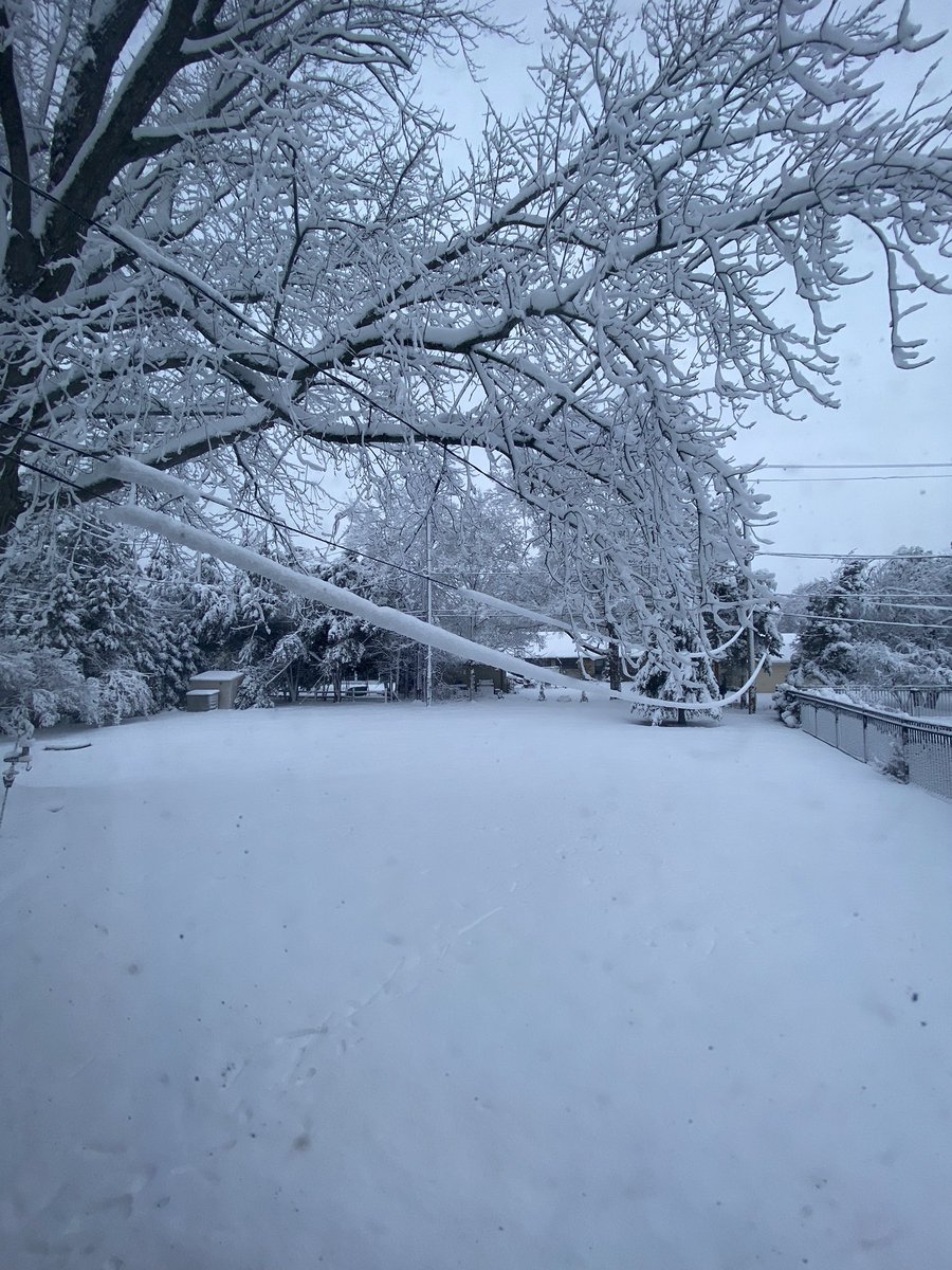 Heavy wet snow in Milwaukee, low branches and wires. @NWSMKX @Molly_WISN 
@LindseySlaterTV @Mark_Baden @Daji_aswad_wx
@KristenWeather @MarisaWoloszyn @BrianGotter @BrianNizTMJ4 @WxBrendan @spann @WeatherNation @weatherchannel