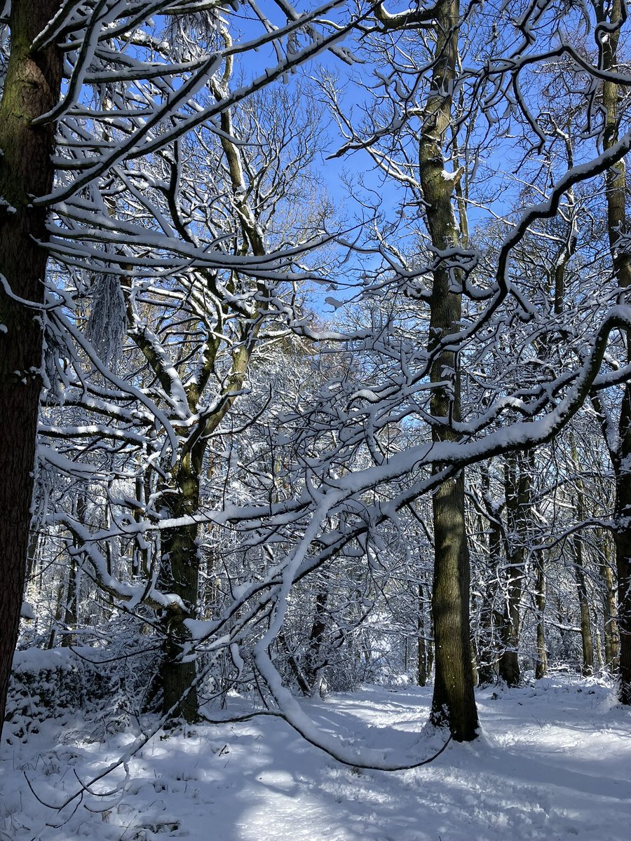 Glorious snowy #ilkleymoor this morning