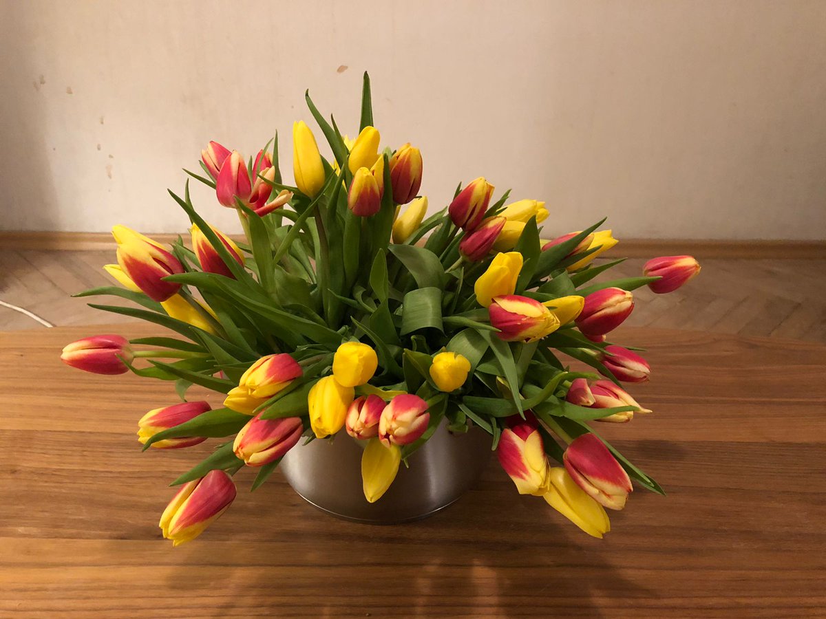 nemka57's tweet photo. Часть 3/3
(Да, я говорила про картиночки, а тут видео) https://t.co/LO90gBtx5b