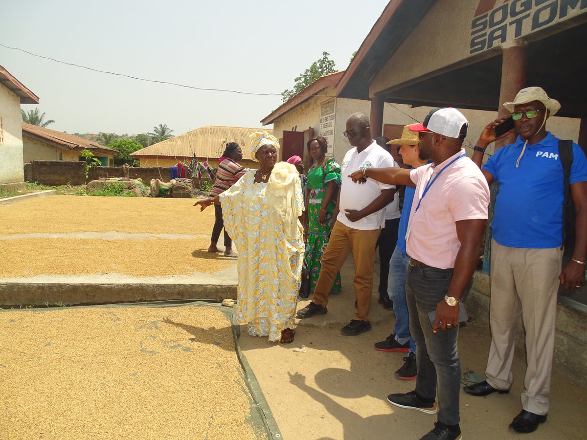 CERFAM_4_Africa's tweet photo. #CERFAMNews
A lire cette semaine:
✅Le renforcement du partenariat entre le CERFAM et le Centre d'Excellence du PAM en #Chine.
✅Une évaluation de la chaîne de valeur du riz en Guinée.
🗞️Pour ne rien rater de l'actualité du CERFAM, rendez-vous sur 👉https://t.co/mXjhkyxcQS https://t.co/TjcTlI58wM