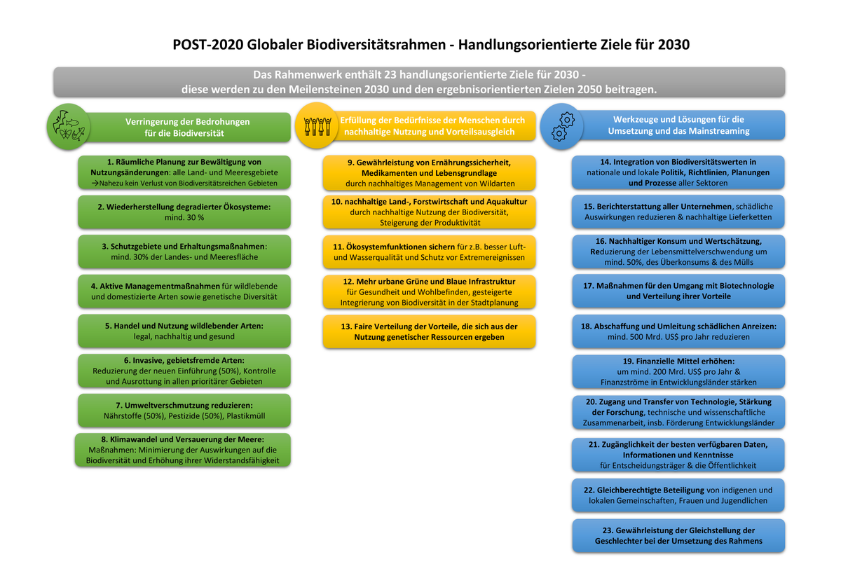 Ne_Fo's tweet photo. Im Dezember endete die #CBD #COP15 in #Montreal. Dort wurde sich auf das #GBF mit 23 Zielen für den #Biodiversitätsschutz geeinigt.
Auf unserer #NeFo-Website findet ihr Informationen zu dem #CBD Prozess und Hintergründe ausgewählter #GBF-Ziele.
👉https://t.co/3R1jLr9Am5 https://t.co/DaAJtkSlF0