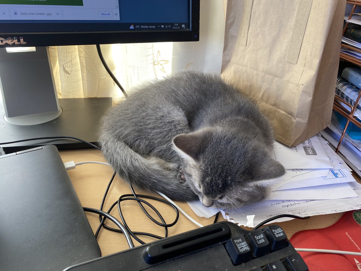 RuthRodgers16's tweet photo. Bert decided to supervise editorial production @FarmingLifeNI today but it soon proved too much https://t.co/bhcTKFf1aD