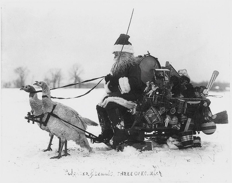 Dressed up as Santa Claus with toys on a sled drawn by turkeys. Three Oaks, #Michigan, 1909. Prints and Photographs Division, Library of Congress.