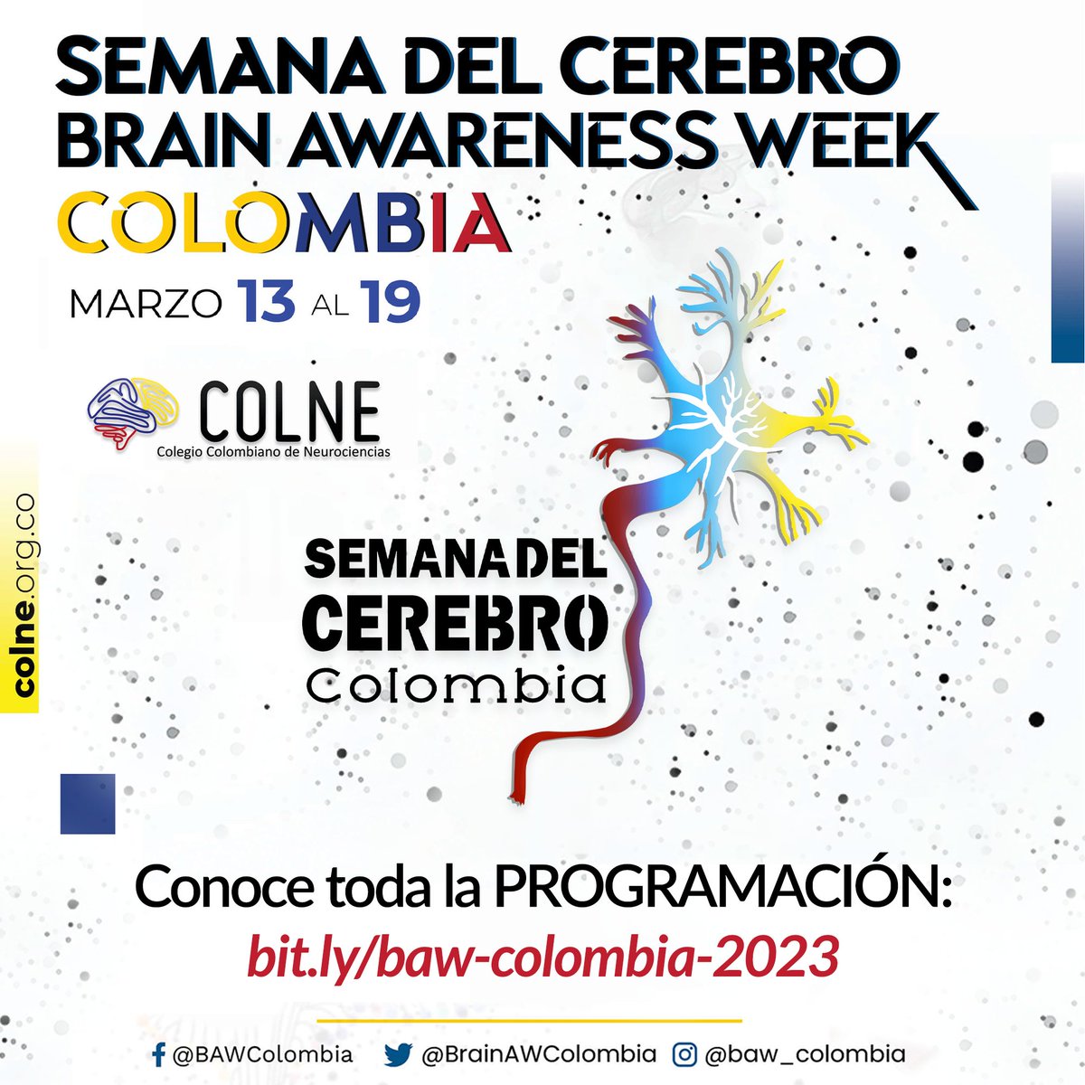 ColneColombia's tweet photo. 🧠 Conoce toda la programación de la Semana del Cerebro @BrainAWColombia 2023 en https://t.co/1aaDjr4kMK. Inscríbete en las actividades, participa y haz parte de esta hermosa experiencia. Cerebremos Juntos! 🤯 https://t.co/Grokl0EdGF
