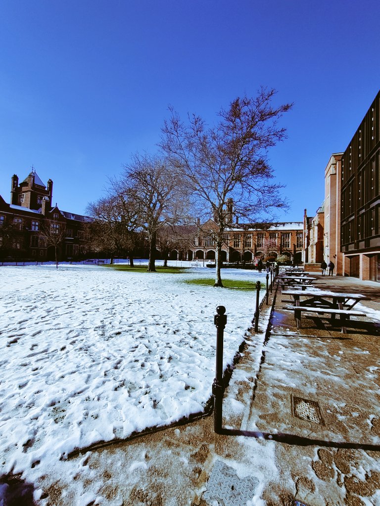 When Uni turns into a snow zone..🥶
#QUBMscBloggers