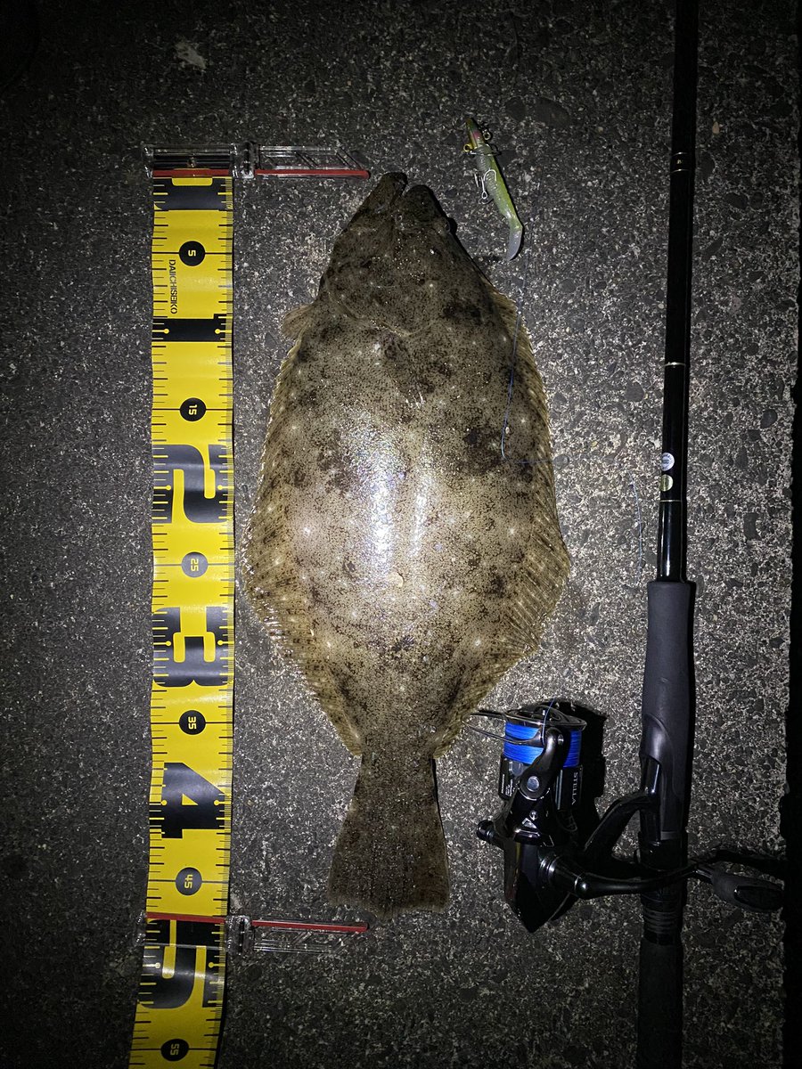 seabass_hirame's tweet photo. ヒラメ
#花粉やばい
#2時間もたない
#SM75
#ストライクヘッド
#22ステラ3000MHG
#22STELLA3000MHG
#ヤマガブランクス
#YAMAGABlanks
#EarlyPlus96m https://t.co/jW35jphVuv