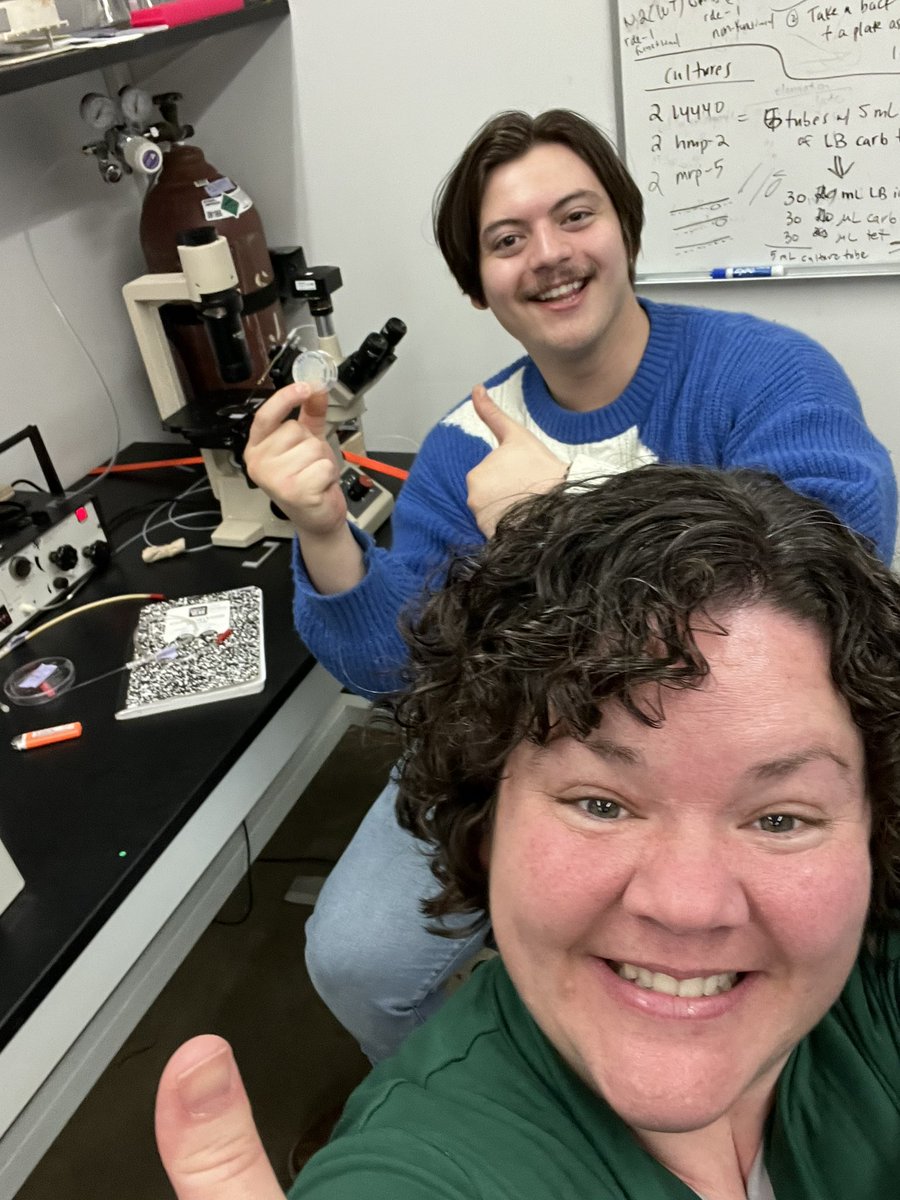 MaidenStephanie's tweet photo. My undergrad Ian and I successfully injected our first worm in the lab! https://t.co/0THiOjVRBK