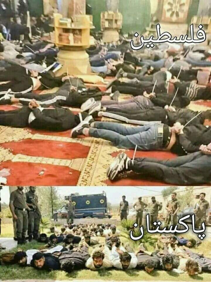AdnanHa32377954's tweet photo. NO DIFFERENCE 
#امپورٹڈ__حکومت___نامنظور 
LANAT ON ESTABLISHMENT AND PDM GOVERNMENT https://t.co/FToW9isBTV