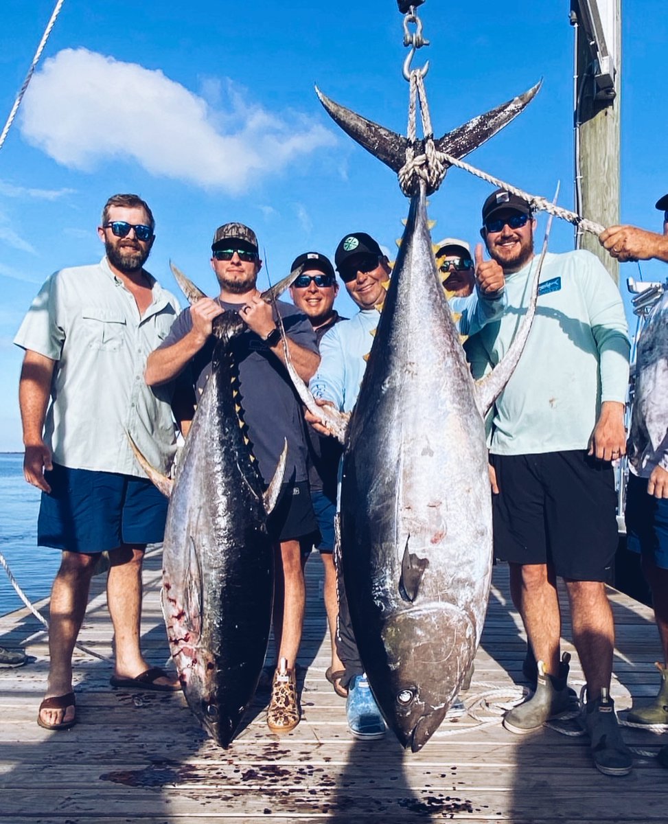 Palomar Fishing (@palomarfishing) on Twitter photo 