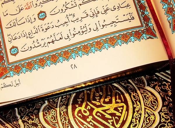 abo304730's tweet photo. للتذكير ورد القران اليومي 

-من اشتغل بالقُرآن، غمرته البركات 🌾🌨️🌨️ https://t.co/5asoWC3D0p