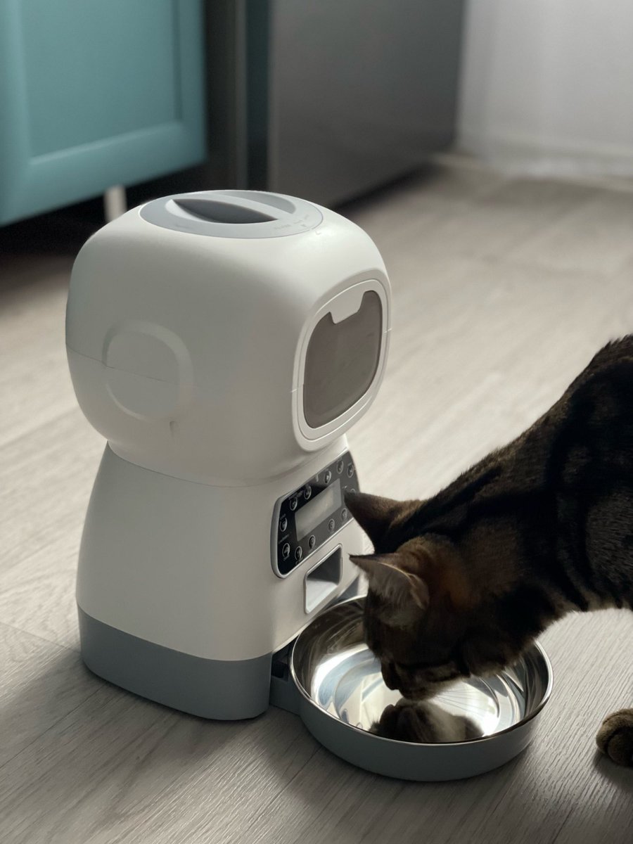 Blue_Bargains's tweet photo. With our BlueBargains Auto Pet Feeder, you can rest assured that your pet is receiving the right amount of food at the right time, promoting healthy eating habits and reducing the risk of overfeeding. https://t.co/iZhgAbqoon