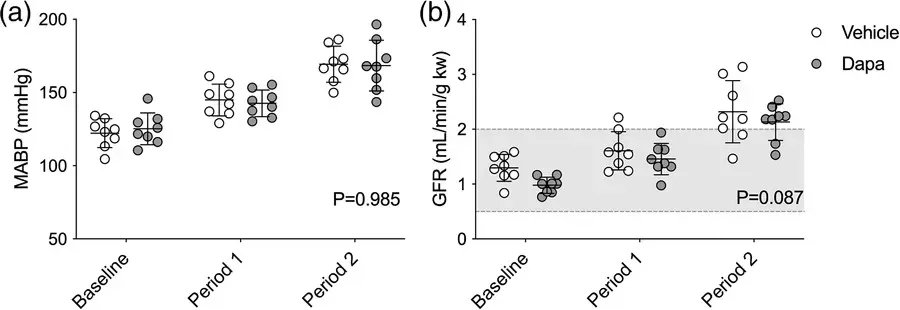 Experimental Physiology tweet media