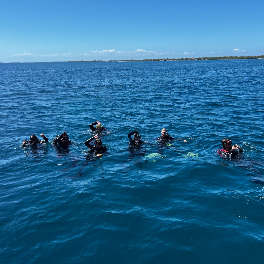 Belize Dive Haven tweet media