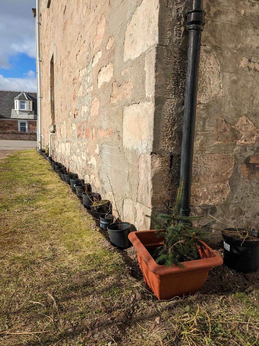 From small across great oaks grow and so begins the gardening club at Seaman's Hall on Friday mornings at 10am. A fabulous session in the sunshine and a lot achieved by 6 volunteers. The community garden has started!!