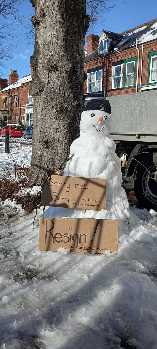 Stumpy the Snowman ⛄️ calling for resignations in the wake of the Street Tree Inquiry.

#SorryNotSorry #SheffTreeReport #SaveSheffTrees