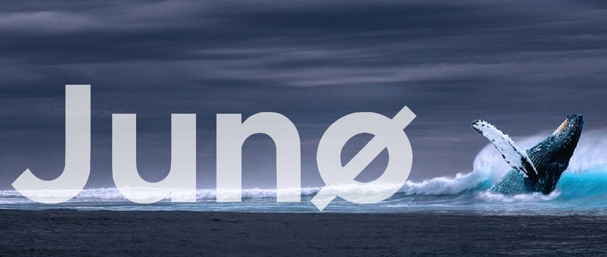 markfromdenmar_'s tweet photo. It's kind of ironic that you can now claim your $WHALE airdrop as a $JUNO staker...

Link 👉https://t.co/5vbYCL2Yu8 https://t.co/1RRF8fAg3x