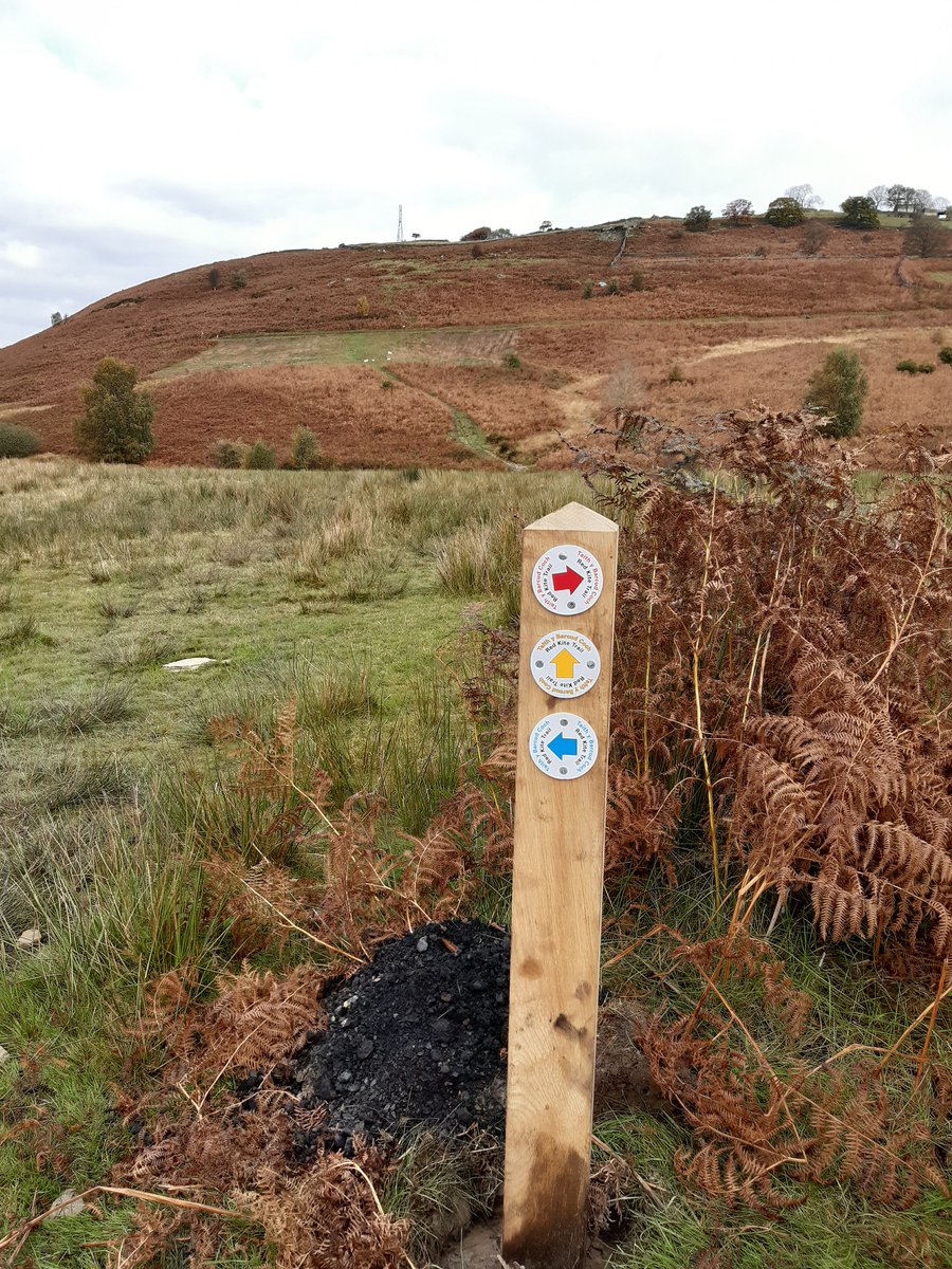 Comin Cydweithredol - Common Connection tweet media