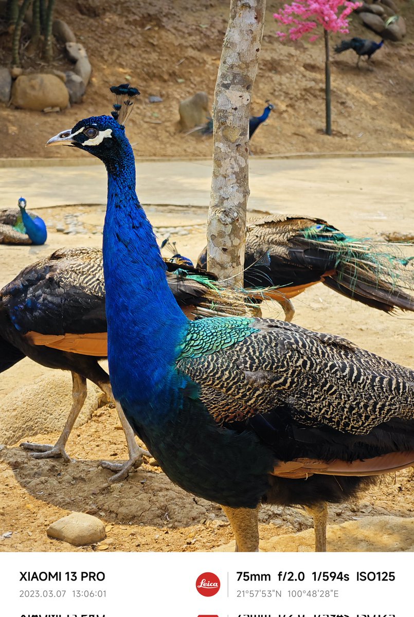 緋村心太 (@changleweiyang_) on Twitter photo 