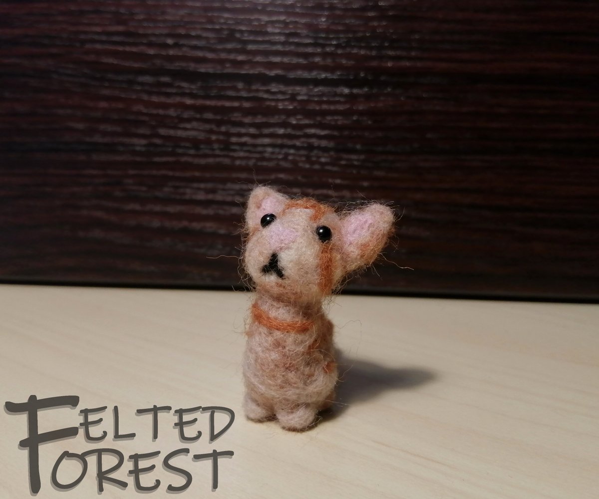 Felted_Forest's tweet photo. First pet figurine commission - ginger cat😼
#feltedforest #felting #needlefelting #felted #wool #cat #gingercat #animal #pet #commission https://t.co/s6g35H8759