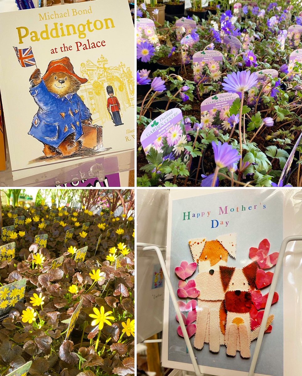 KillingBdesigns's tweet photo. Alfie and I restocked @ThetfordGC with Mother’s Day & Easter cards. 🪴
There are plentiful goods in stock at this marvellous garden centre on the Norfolk/Suffolk border. 🛒🌷#thetford #thetfordgardencentre #kilverstone #killingbcards #killingbdesigns #greetingcards #dogfriendly https://t.co/BcTY4G2tQz