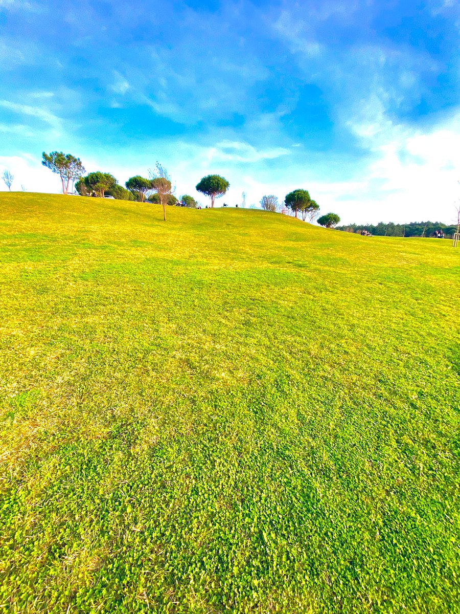 Windows XP Loading…