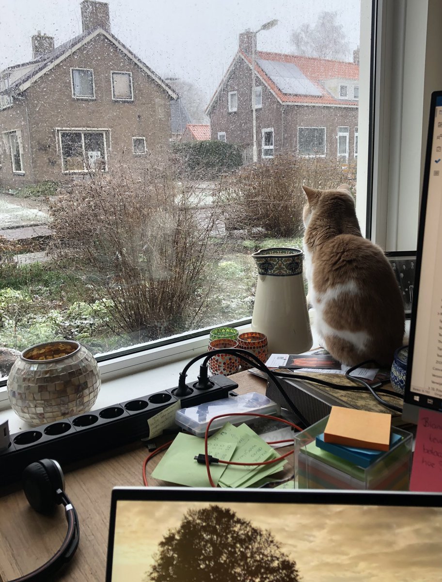 Hester099's tweet photo. @ReneeMoezelaar @evateuling @NadineBoke @EstherHanko @evamariacurlew @BieTanjade @remybergsma @rutger_ @ienapiena @IrisRoggema @gigaseal @MarionKoopmans @mkeulemans @marcel_niekus @Manjadepanja @RJJPub @aliettejonkers @lumphie @jnvdg @EllendeBruin @mtv_tjilpt @OKatert @ZSjoerds @barbaravreede @opinievictor @jacvre @DirkScheffers @Opeenrijtje @AldoGMB @SGaster @gravinpetra @miekeroth @enithka @OdedRechavi @thebestsocialNL @droef_gent @onlineadviseur1 Deze collega blijft het witte spul veilig van achter glas met enige verwondering bekijken. https://t.co/hENzpVgqXC