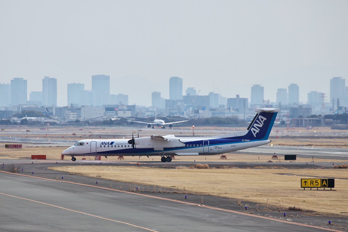 B787_ITMBASE's tweet photo. ITM

Bombardier DHC-8-400

#ITM
#伊丹空港
#ANA
#ソラマニ_ヒコーキ
#エアフロントオアシス下河原 https://t.co/Q4F46GpVkE