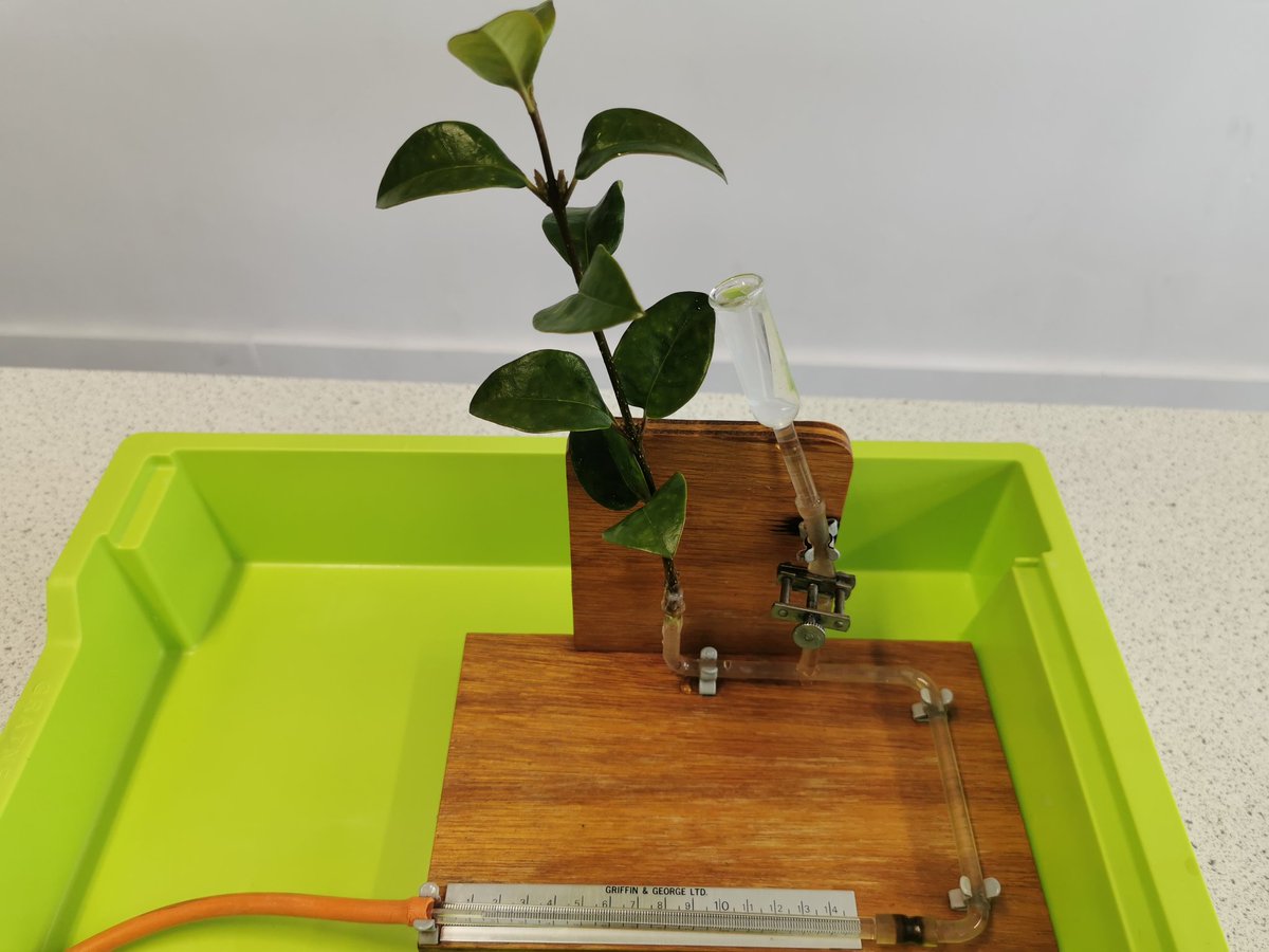 t_saviour's tweet photo. Potometer all set up and working really well #TECHOGNITION ๐
Science Technicians make practical science happen.
@ArkBDA
@TECHOGNITIONUK
@Gratnells
@LaBLiFeUK
@technicians_mih
@TechnicalChamps
#science #biology #potometer
#sciencetechnicians https://t.co/Q8bR6XmIqG