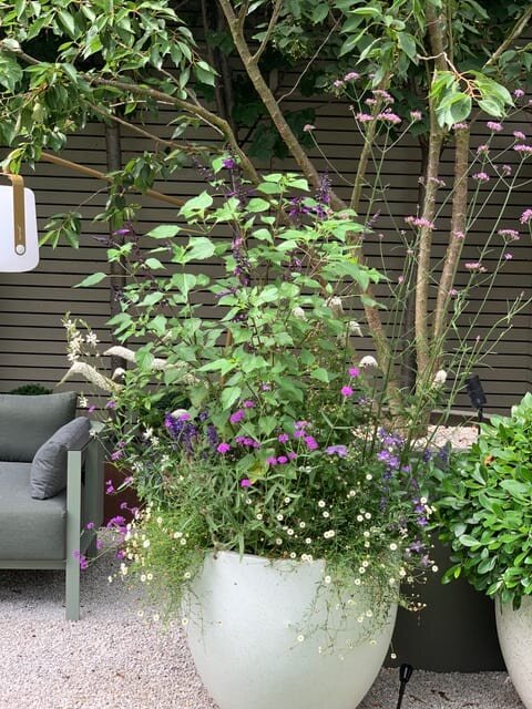 AAGardeners's tweet image. Looking for a way to add some personality to your limited outside space? Consider a window box or pot! These versatile containers allow you to vary your plant arrangements and bring some life to your outdoor area. 

#windowbox #windowboxes #windowboxflowers #windowboxgarden