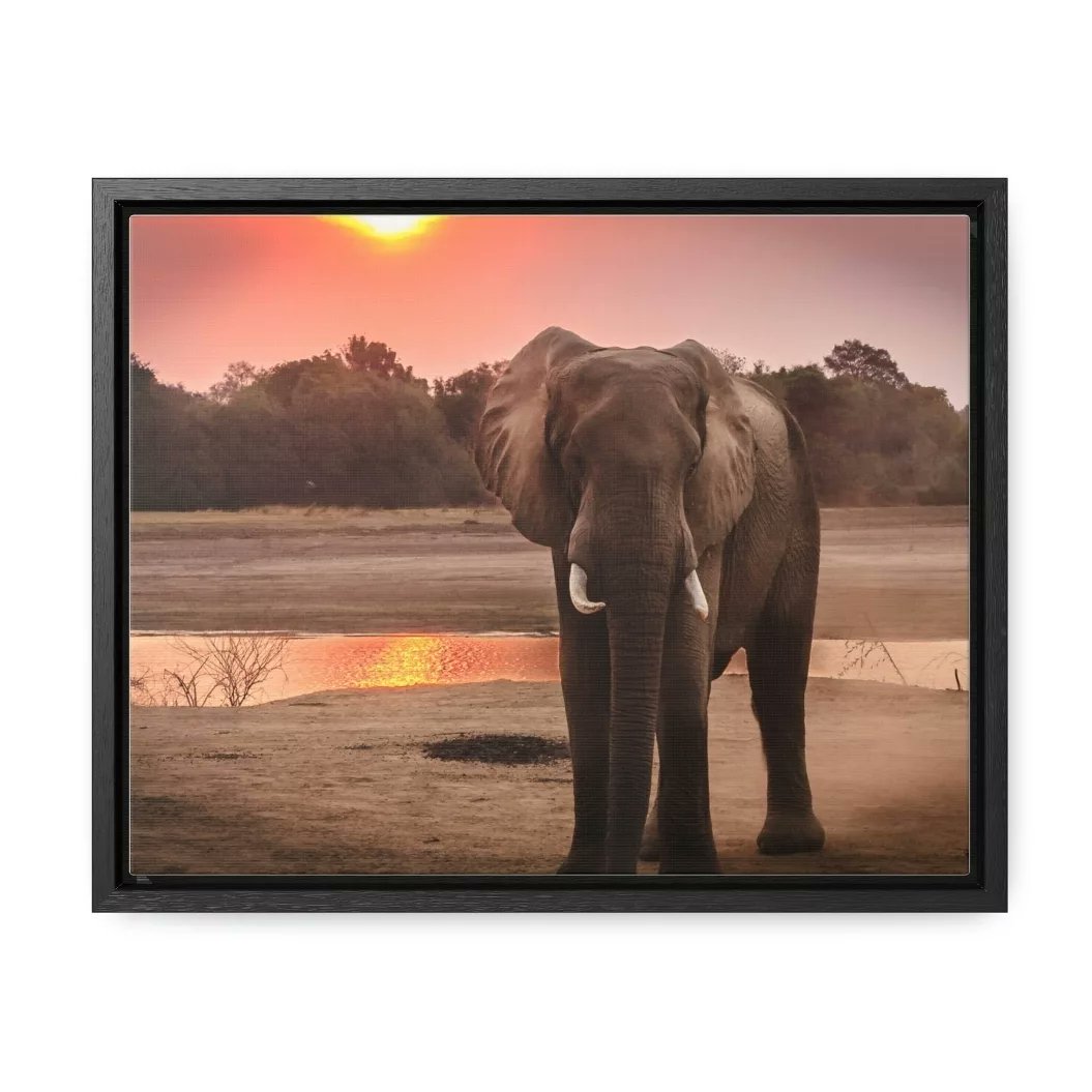 thirtywildz's tweet photo. 10% OFF framed canvases limited time only!

https://t.co/LKnXvxlNIO 

#wallart #wildlife #canvas #interiordesign #heart #graffiti https://t.co/lLmMfMe4tQ